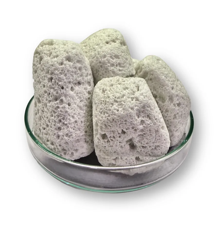 BioPor V2 – Biological Carrier Media for Bio-Scrubbing — AQOZA